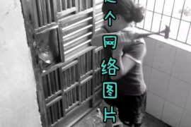 鹰潭融资清欠服务